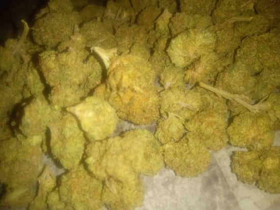 THCa Flower compared to Regular Marijuana