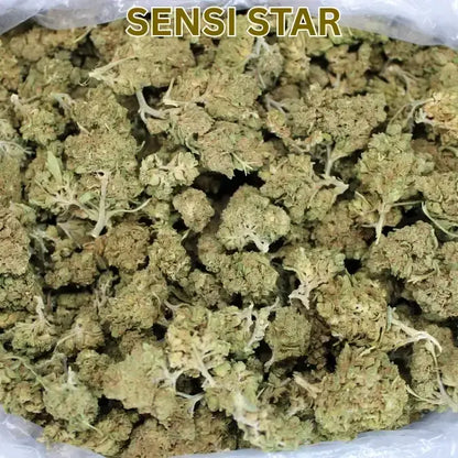 A dense green and brown cannabis thca flower bud collection in a clear plastic bag for budget ounces pounds sale