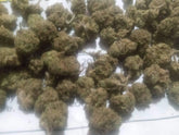 Bud clusters of thca small buds flower quarter pound review with dense greenish brown color and visible trichomes