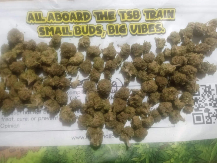 Bud clusters of thca small buds flower with greenish brown hue and trichomes on white all aboard the tsb train packaging